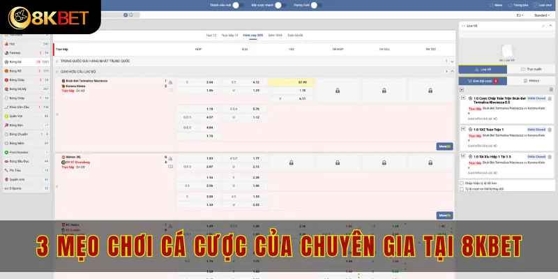 3 mẹo chơi cá cược của chuyên gia tại 8kbet