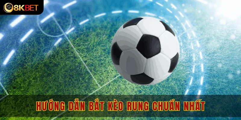 Hướng dẫn bắt kèo rung dễ dàng cho newbie